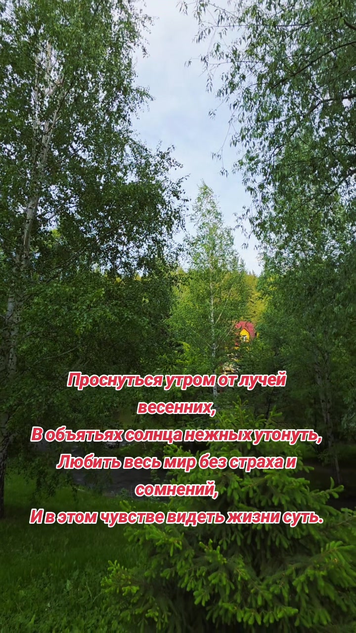 @Яркое Лето