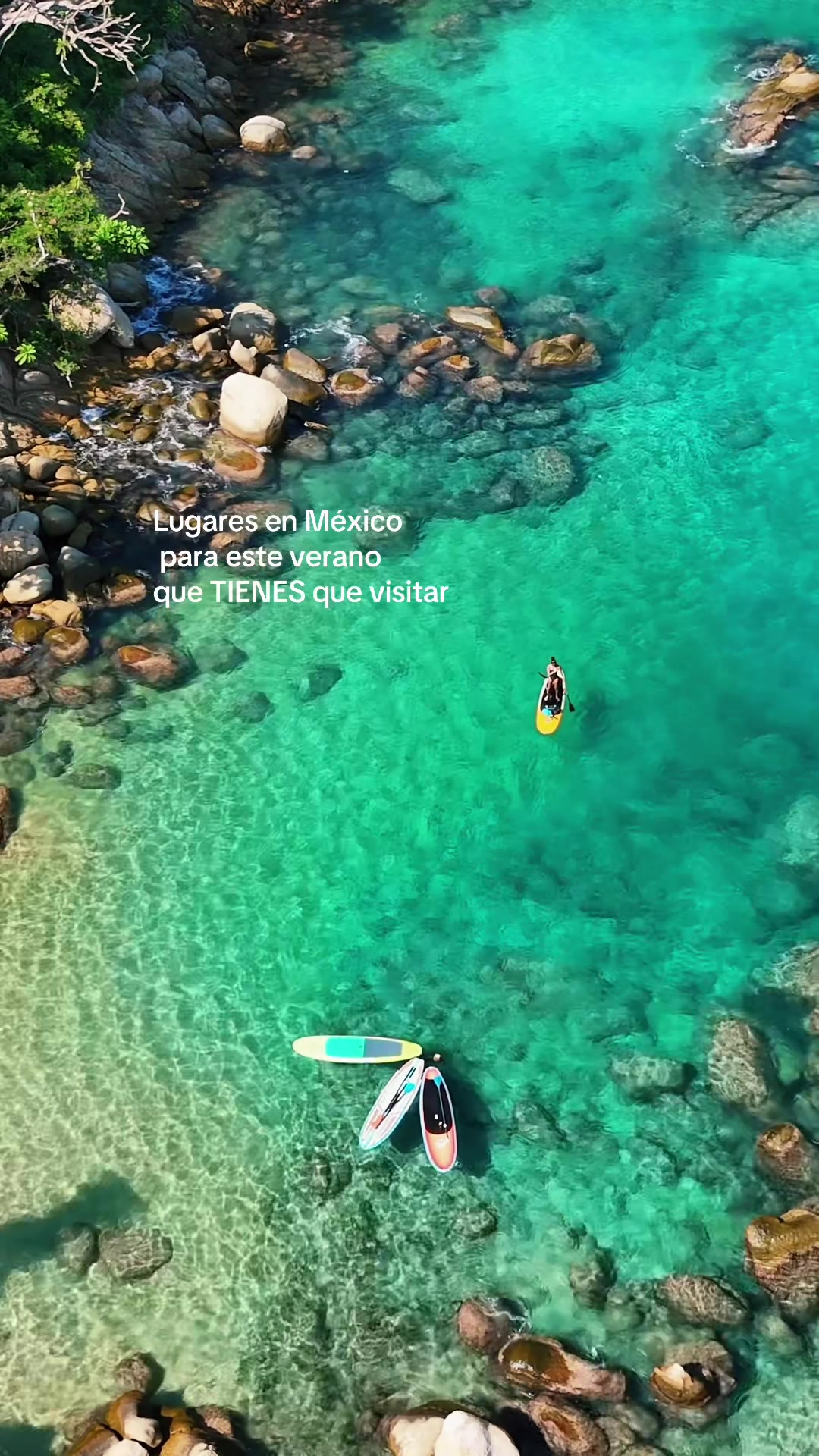 @greenmango_sup