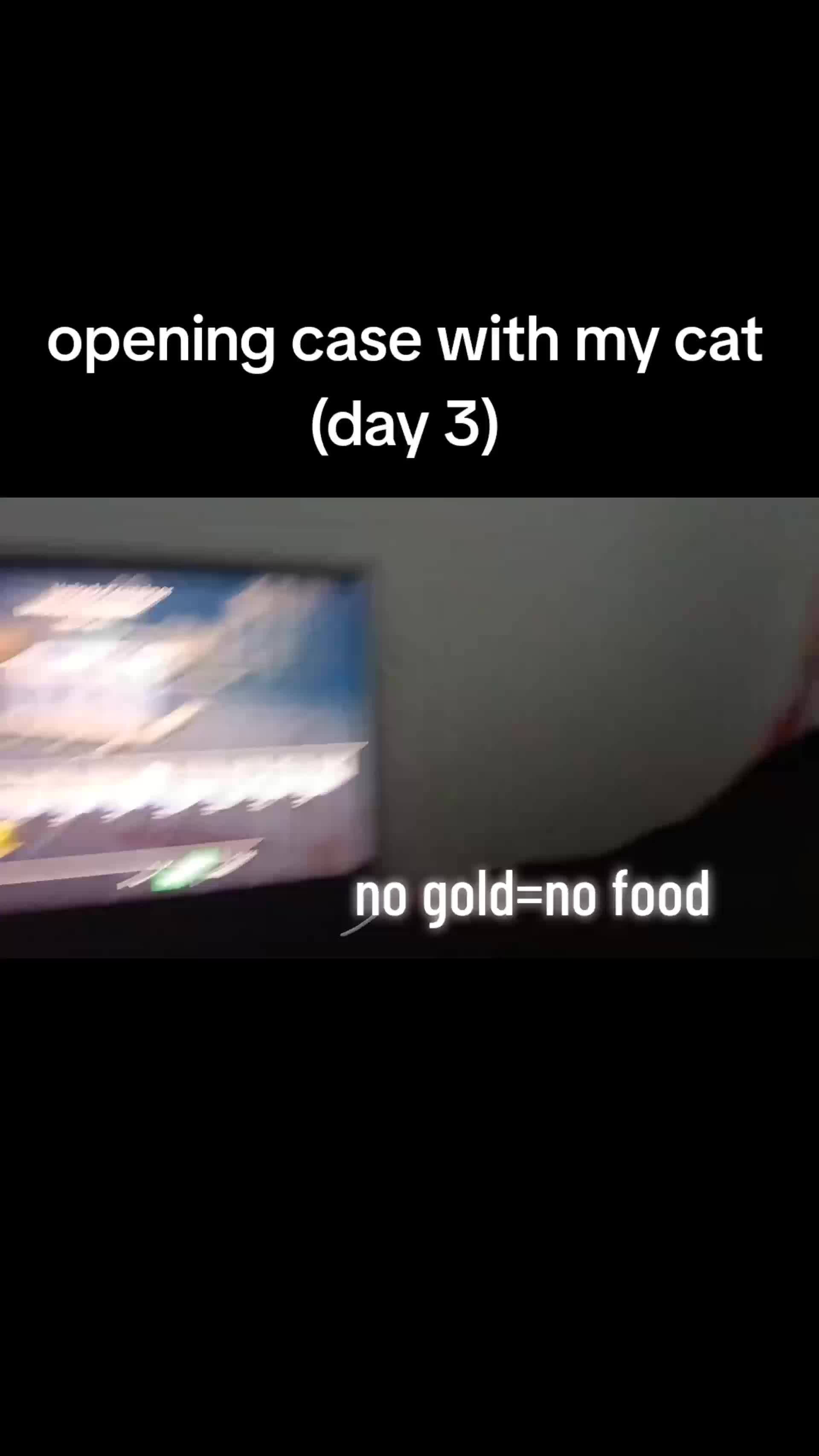 @wiertarkakontowabosch