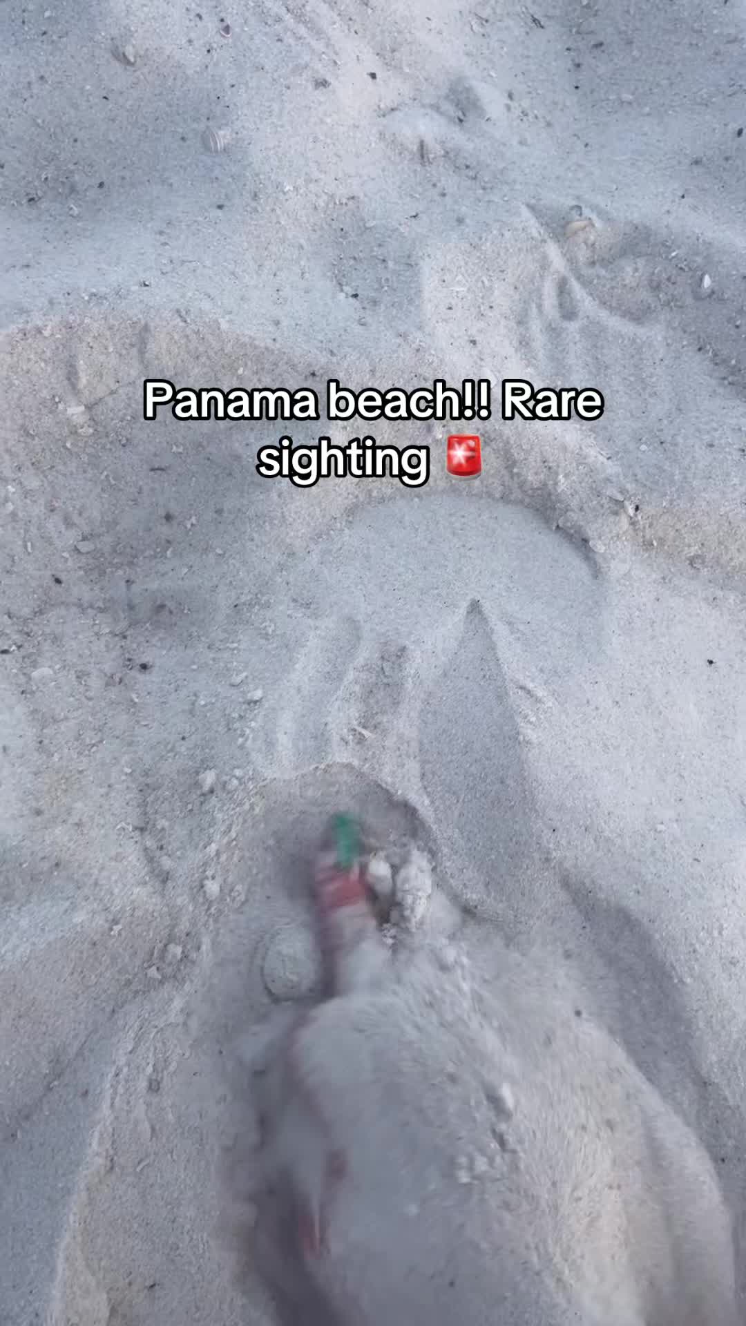 @Coco