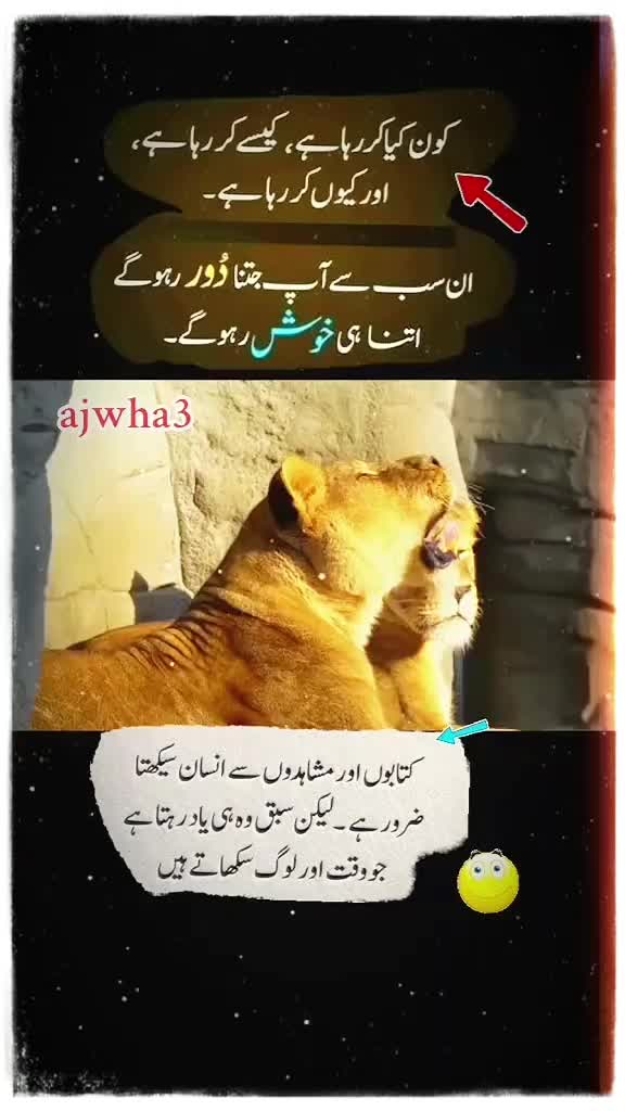 @shakir