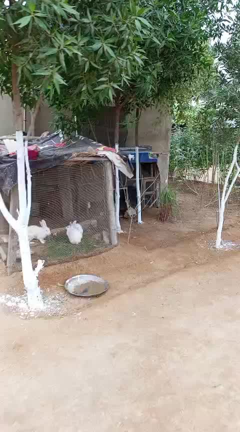 @Arif Mustafa