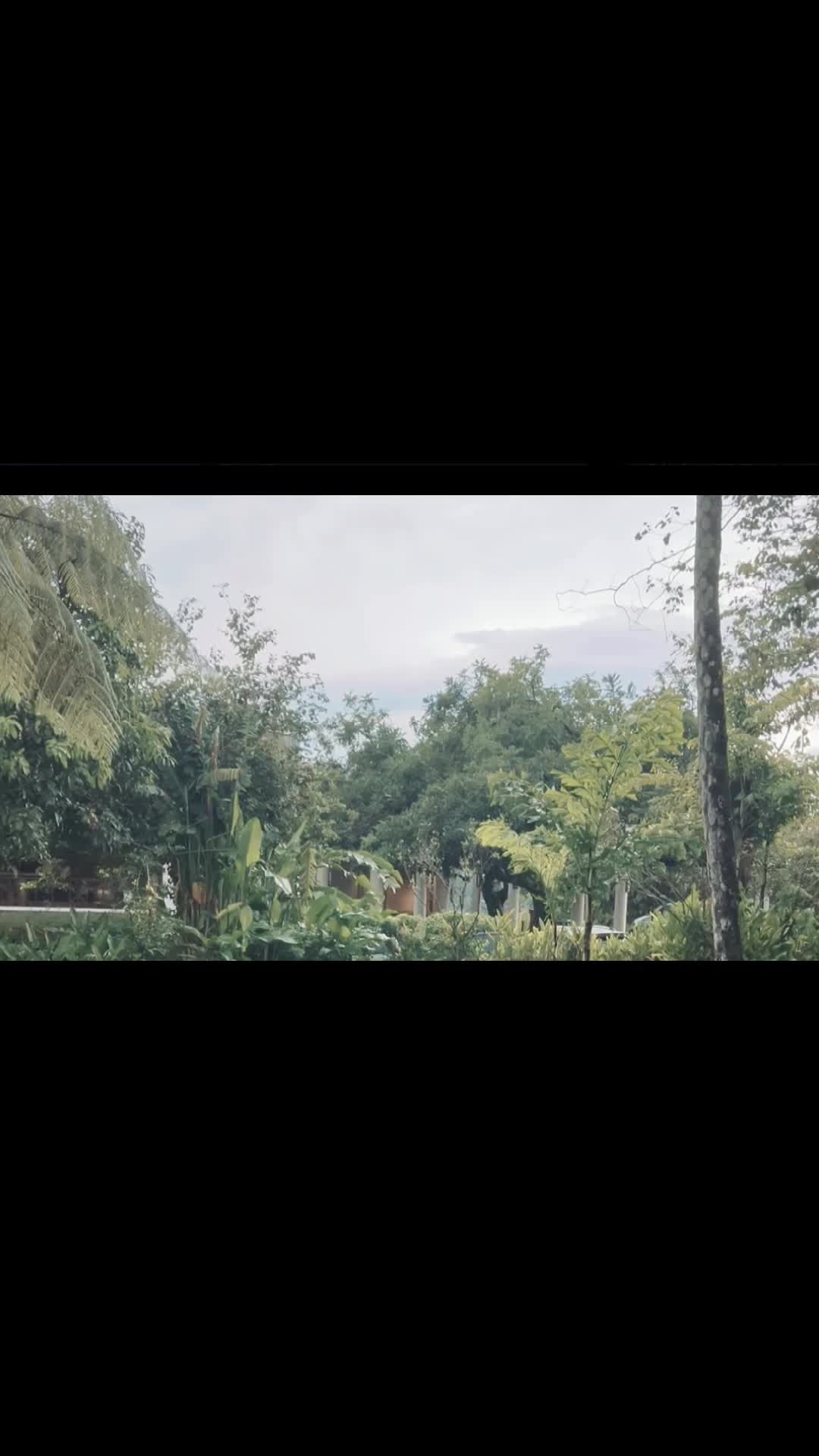 @naamiraputri