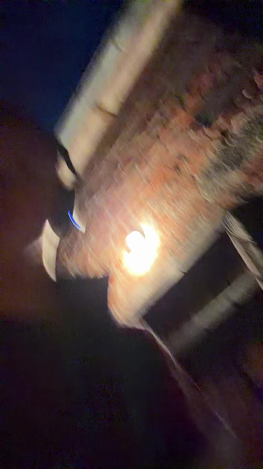 @nxt_bxrtekk🦘