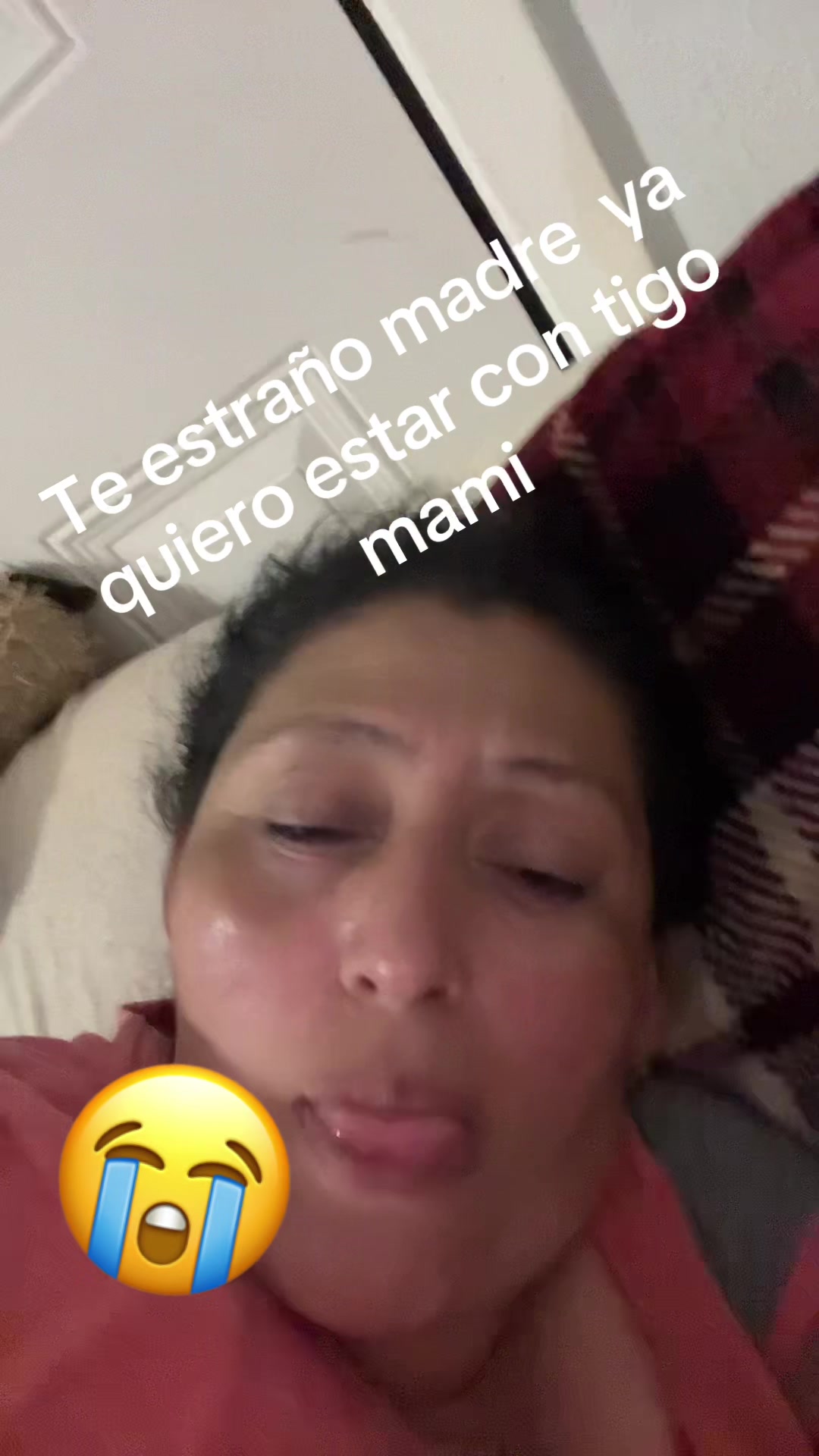 @Wendy504