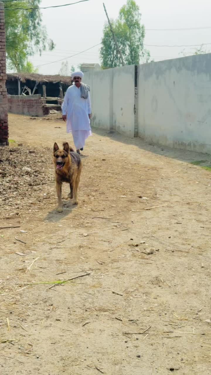 @Asad Ranjha