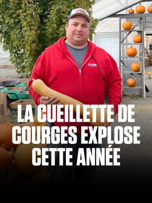 @Le Journal de Montréal