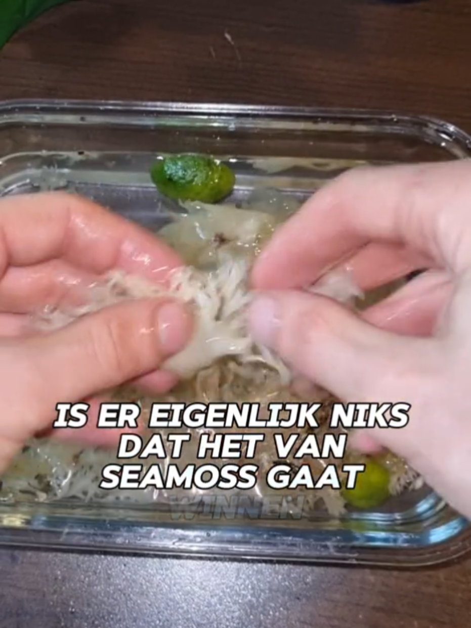 @Ital Natty