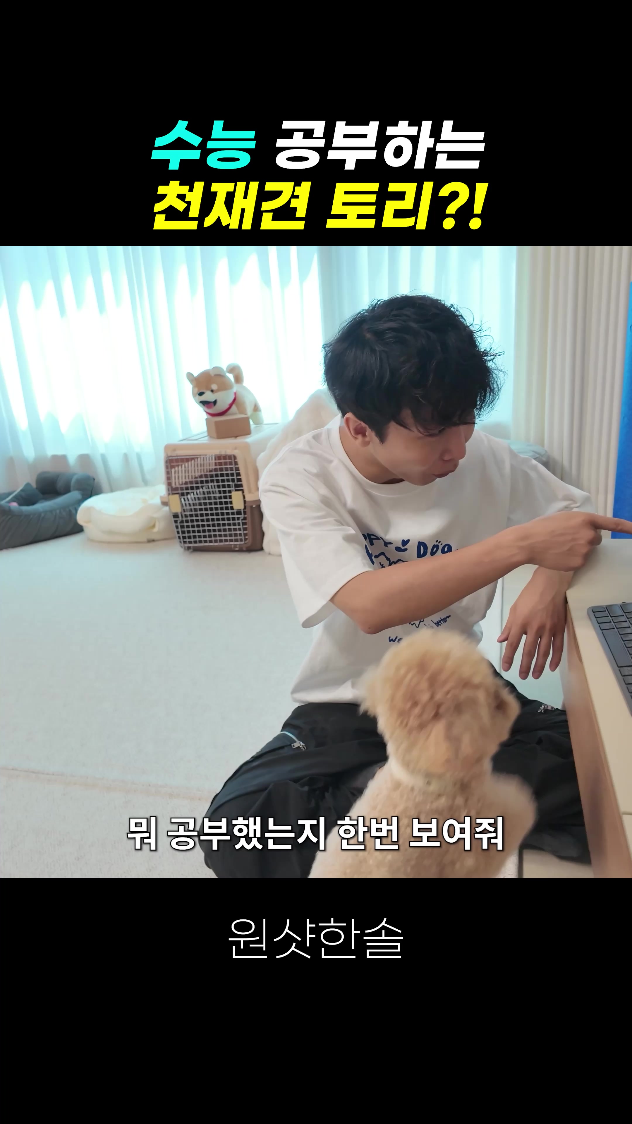 @원샷한솔