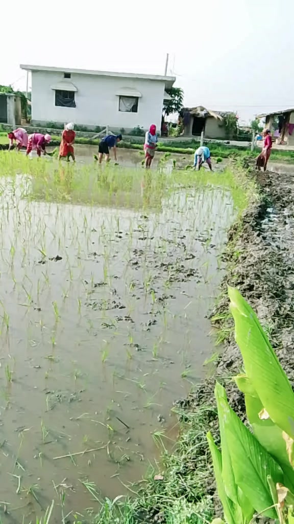 @Parwati Joshi