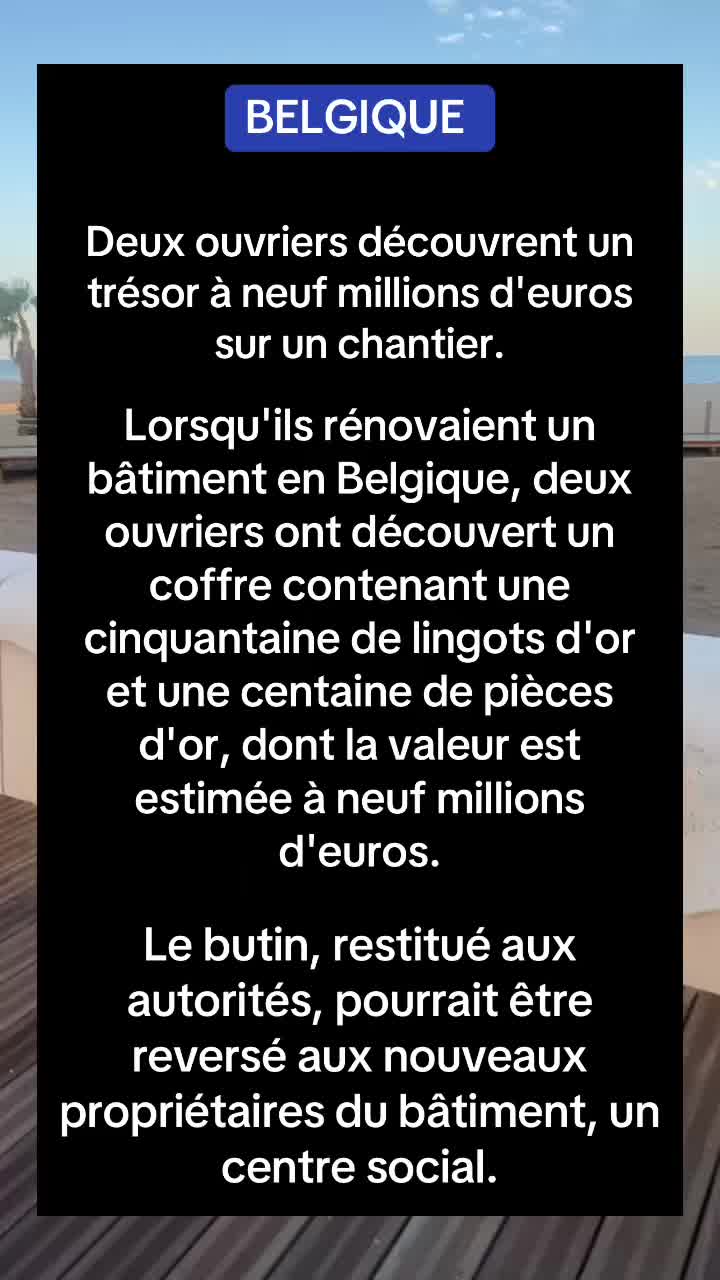 @🌼 Infonews 🌼