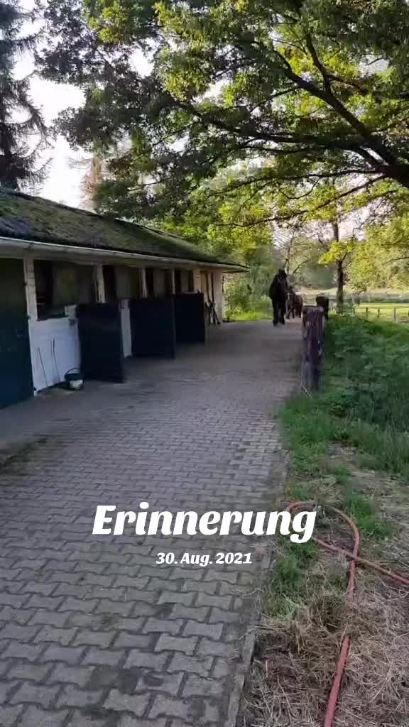 @Ekto Wolle