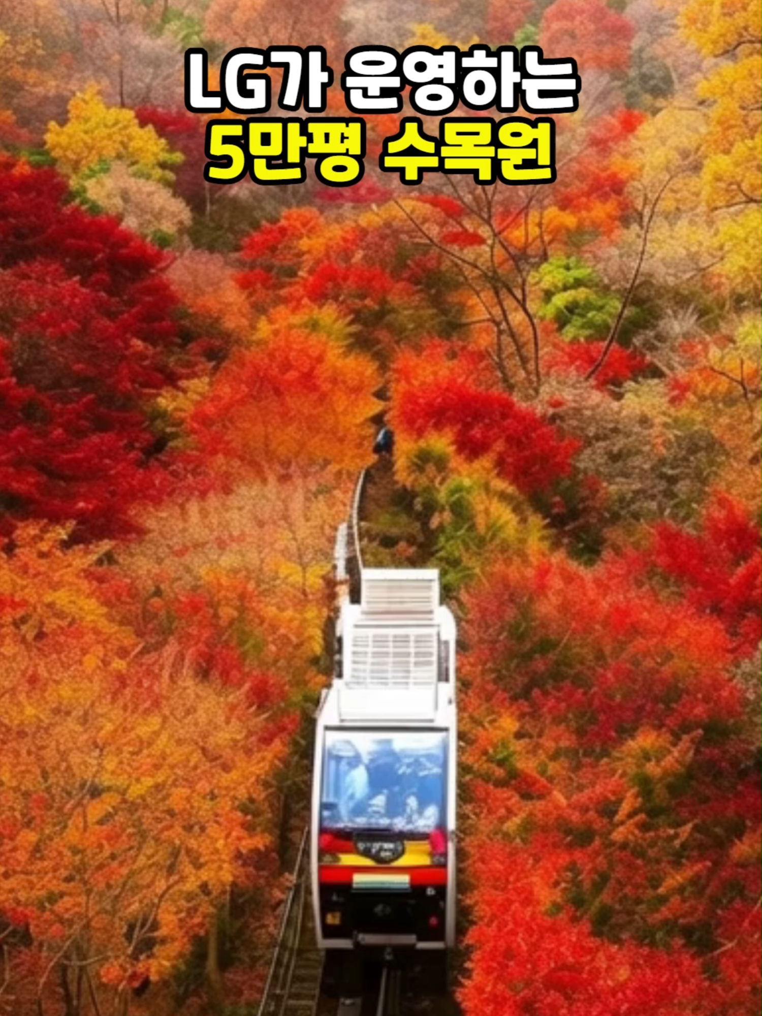 @꽃노리