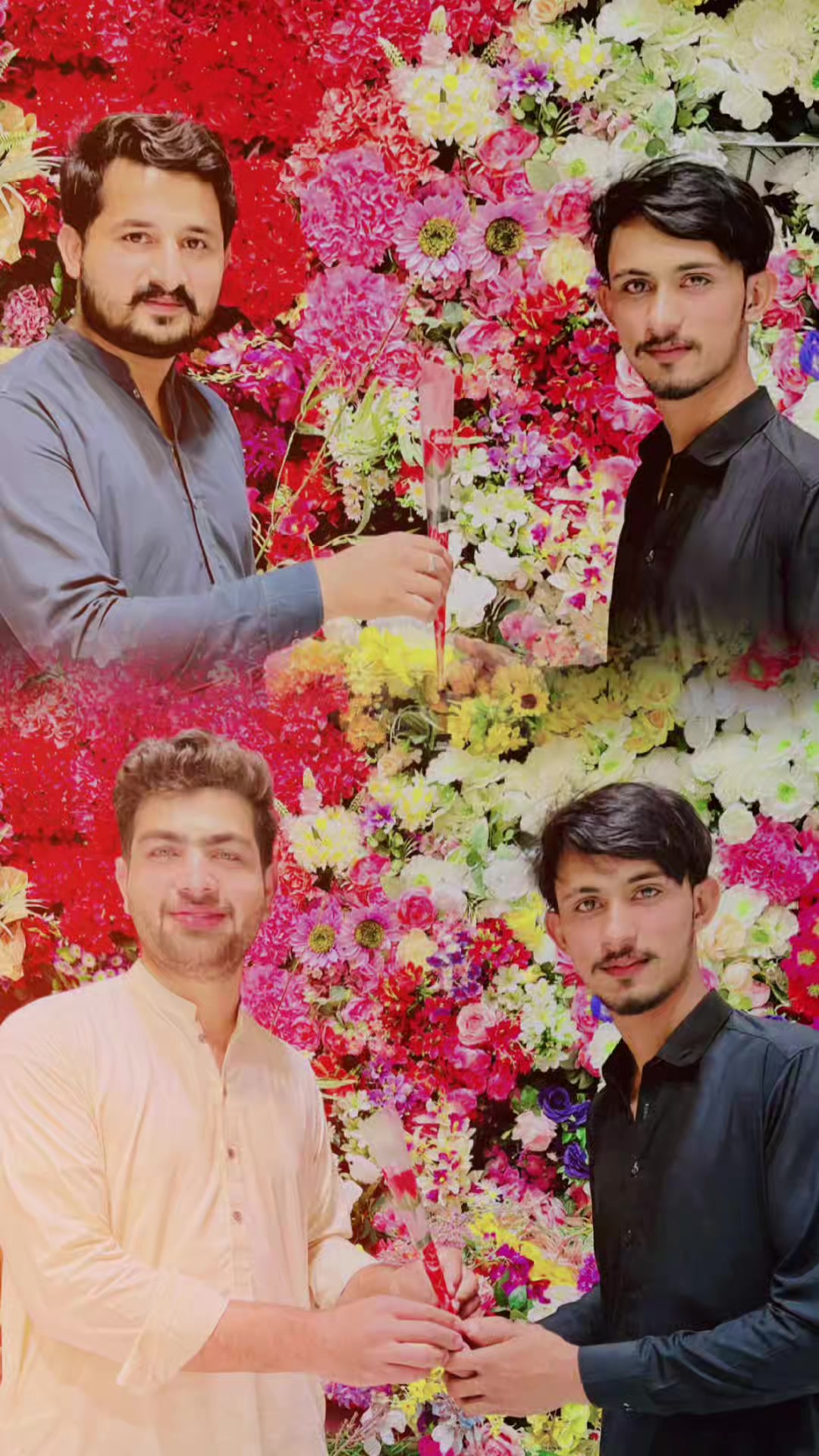 @talhaiali3