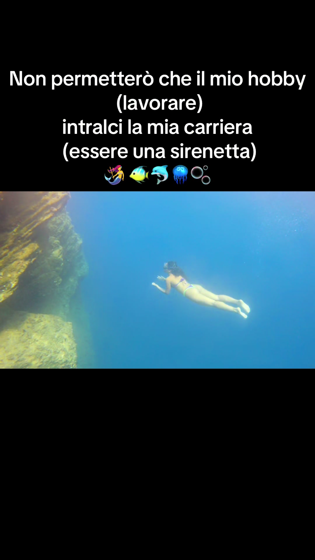 @gavagnano
