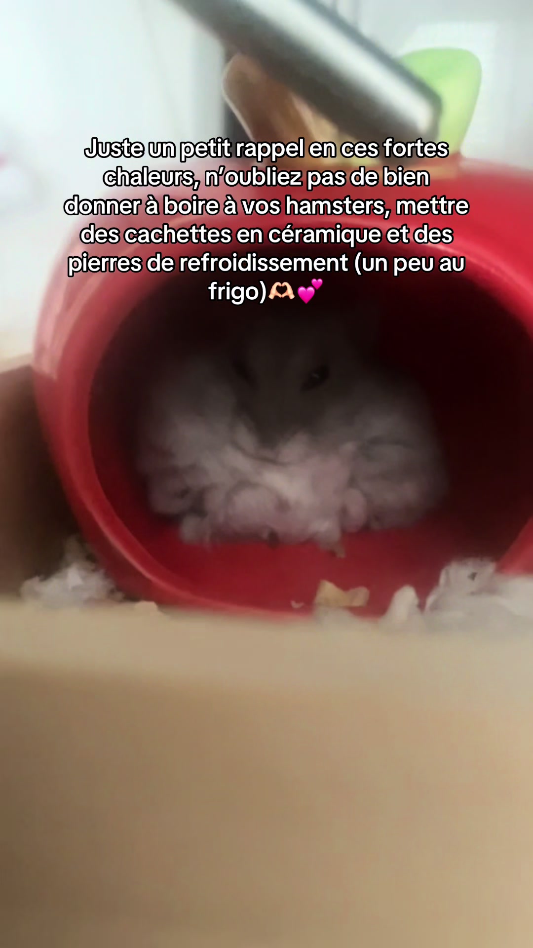 @๐๐ถë๐๐๐โฐ