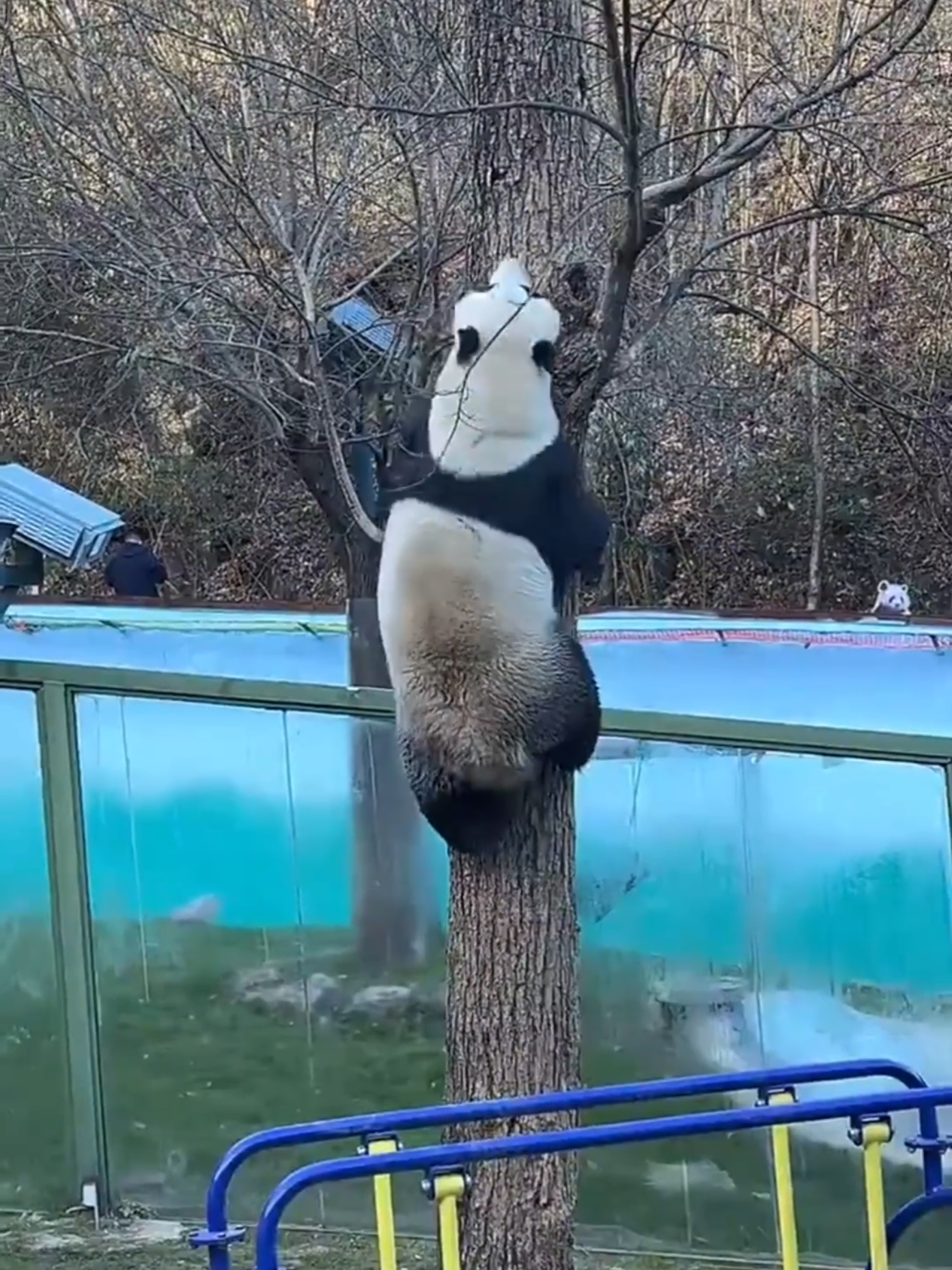 @PandaHut