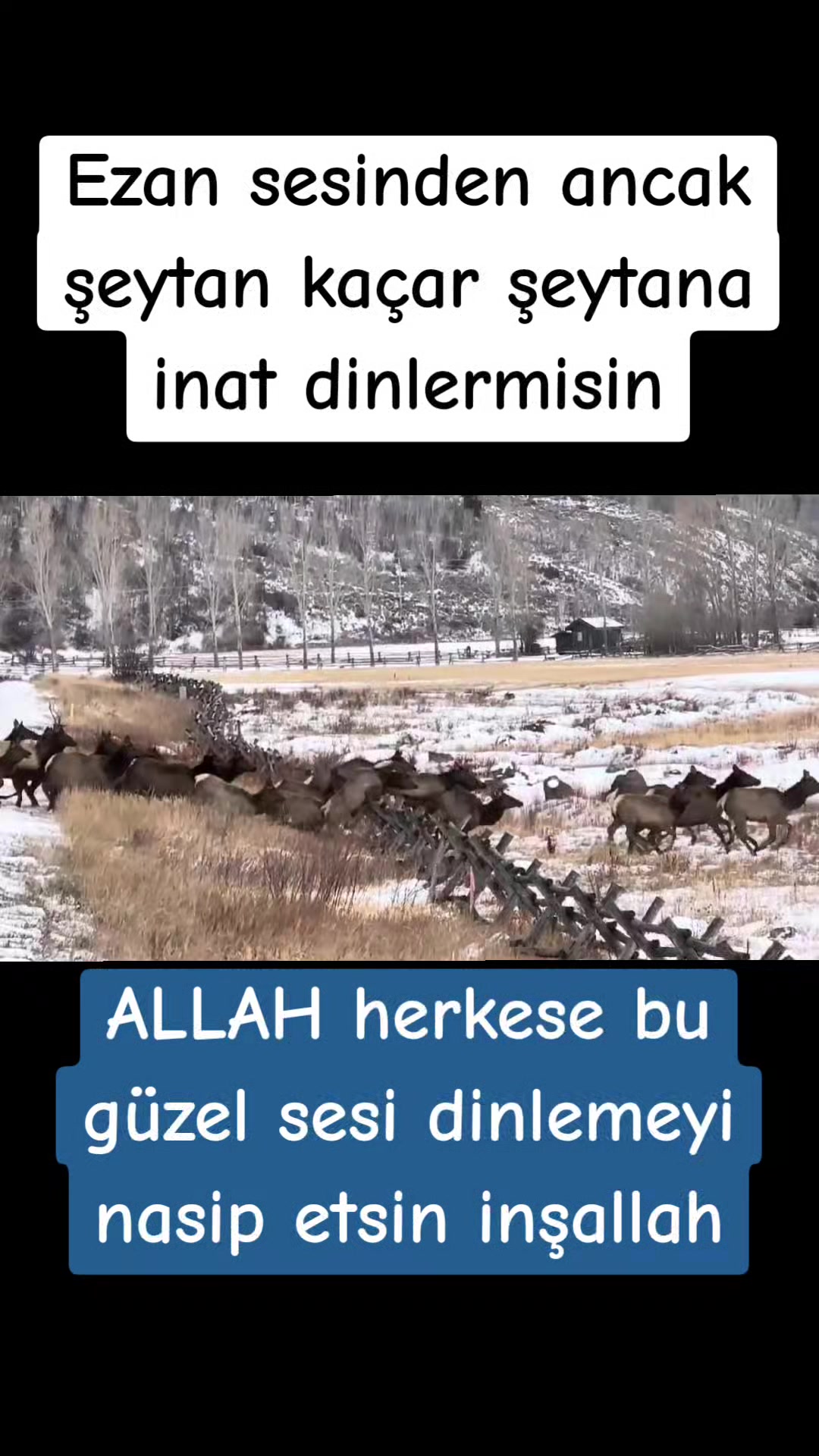 @&Acirc;bH&acirc;Z