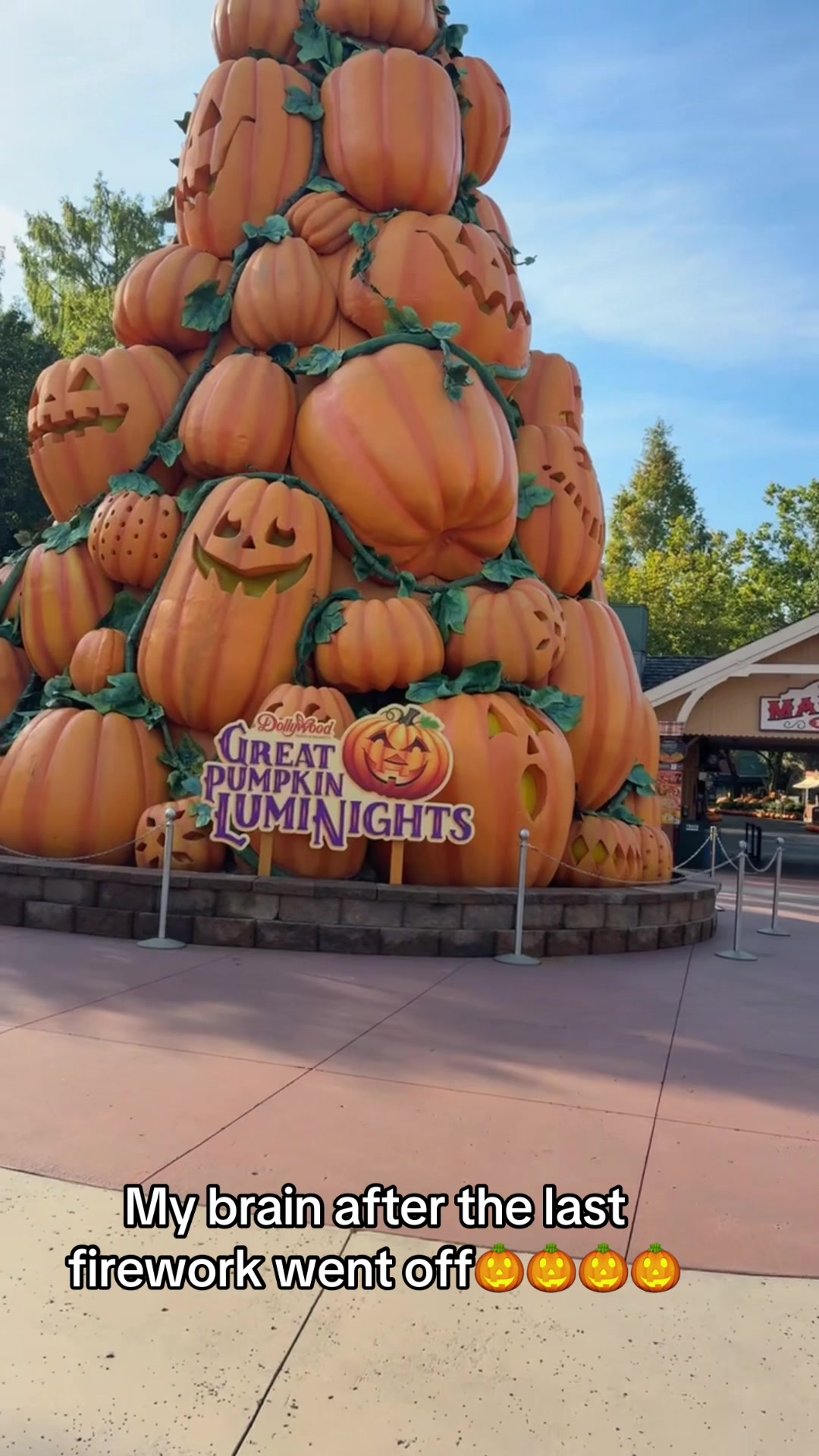 @Adventures with the Guys🦋🎡
