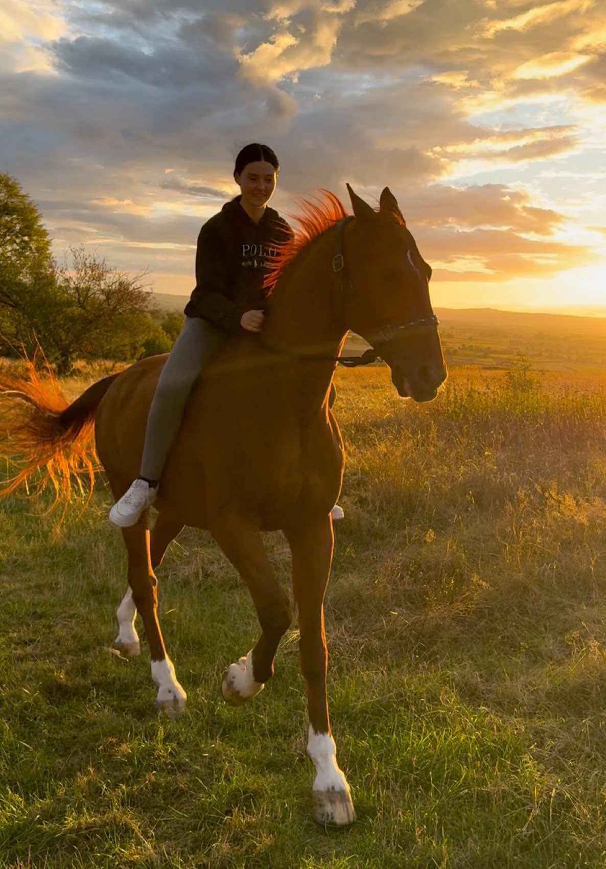 @annalisa.equestrian