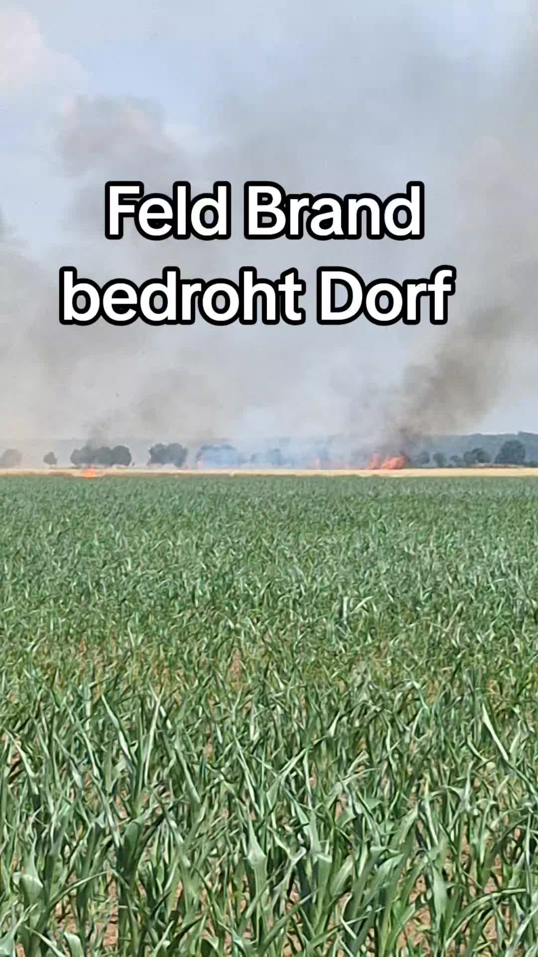 @🇩🇪Powermeinung🕊