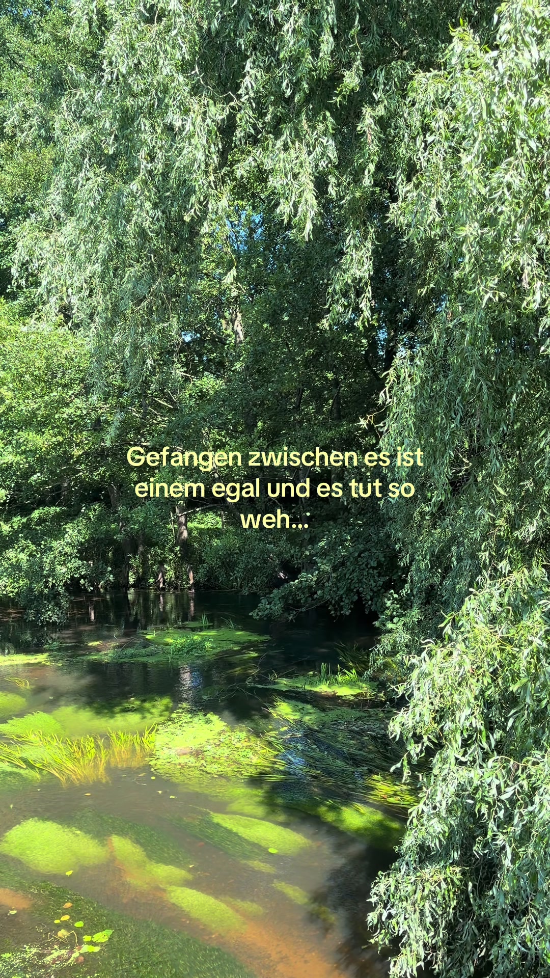 @milla🦦