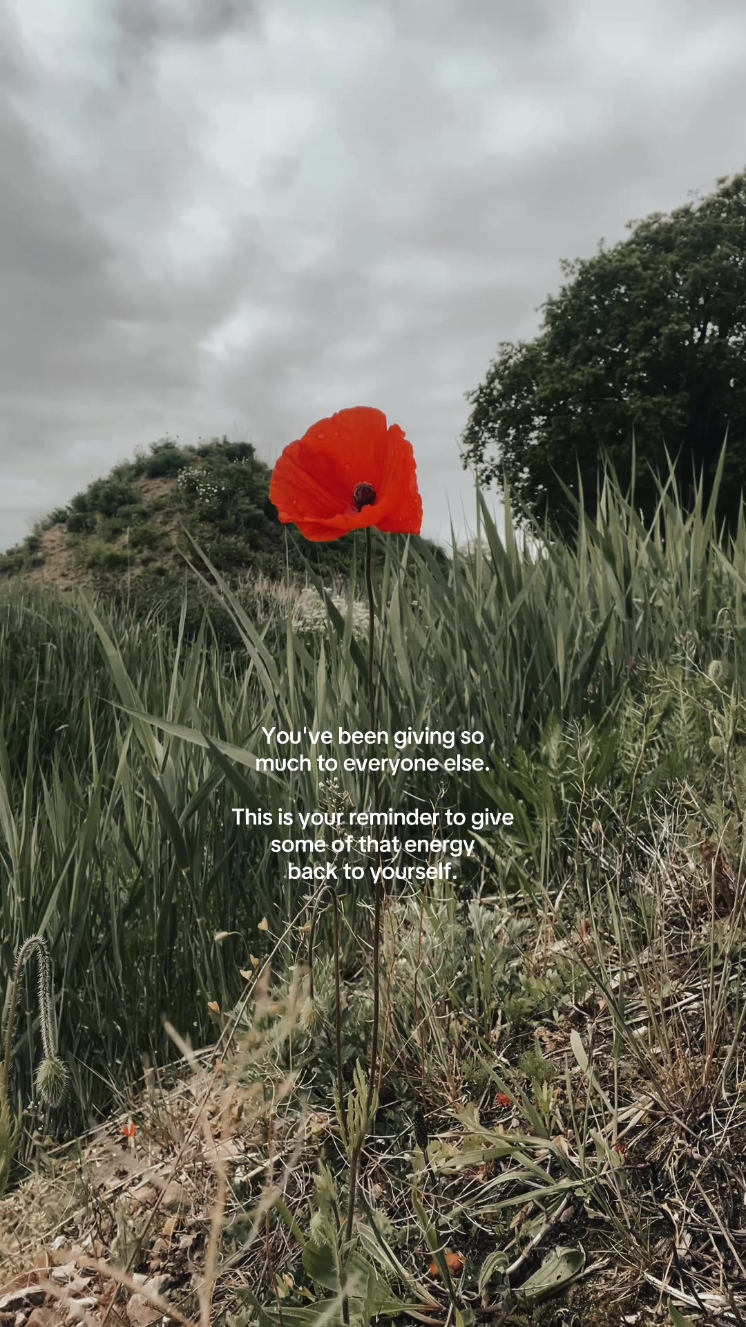 @Inspiredbynature🌿