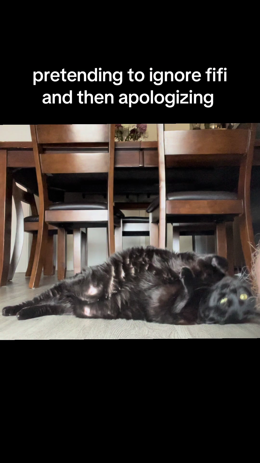 @Fifi La Floof