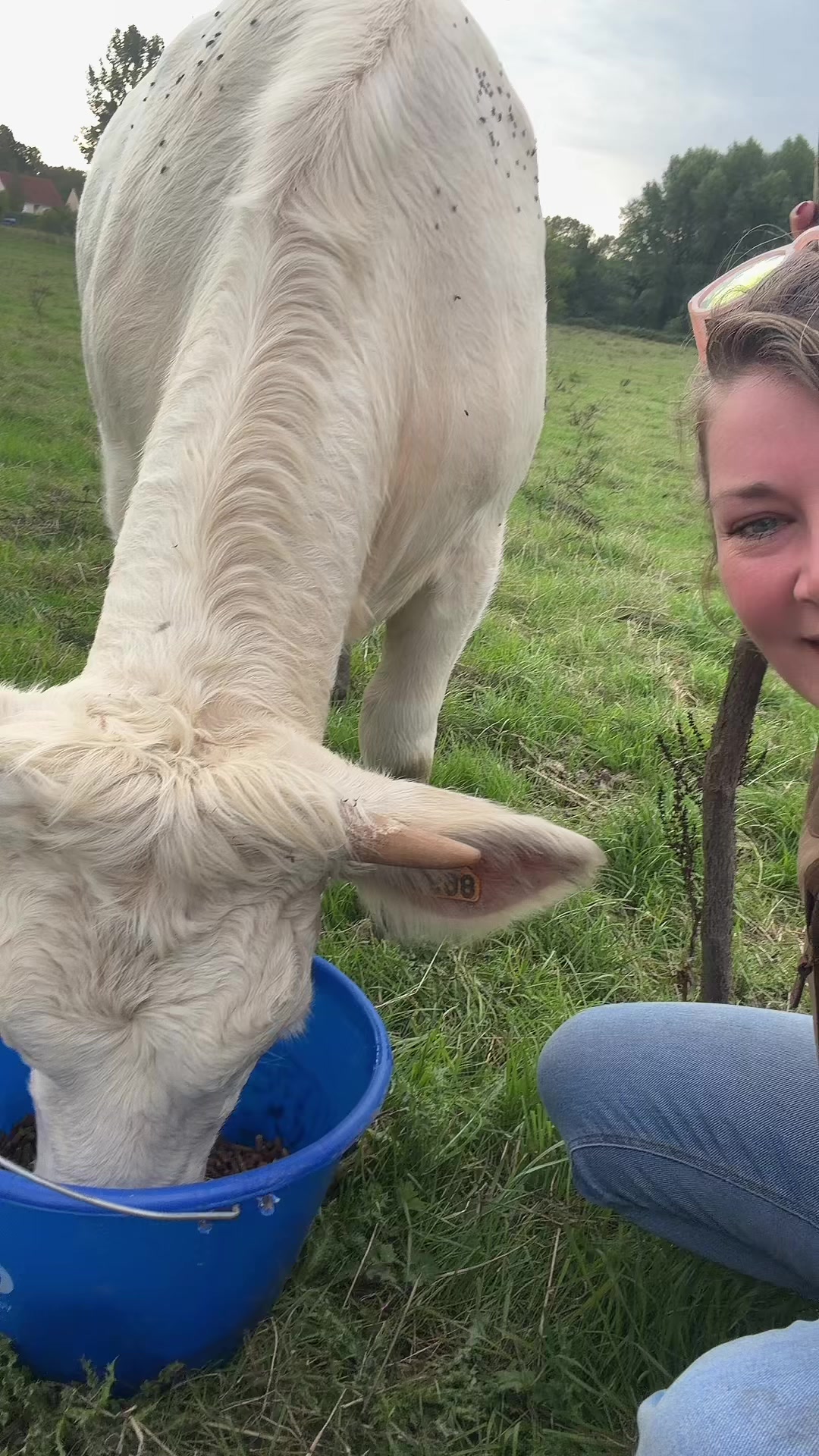 @ᏦᎥᎥᏦᏗᏗ 🌾🚜🐮