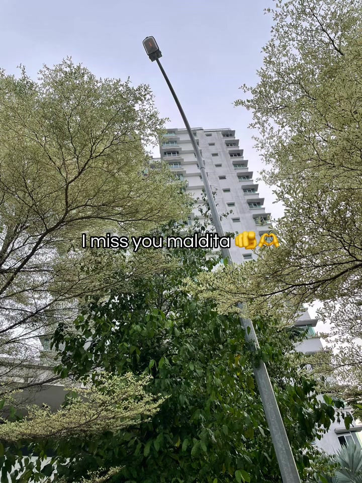 @🌈🇵🇭Mickey Jai シロン 二 ナ♥️🇸🇬