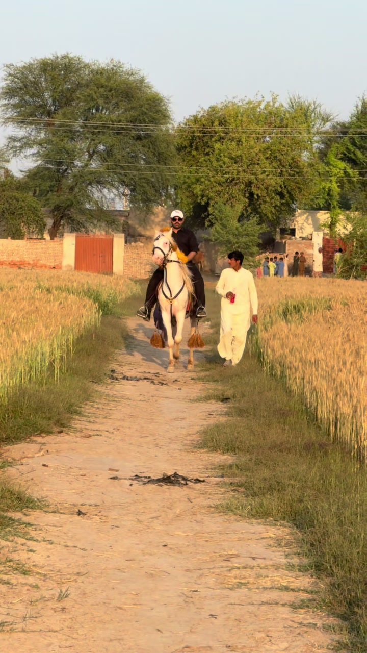 @Pir Gohar Saifullah Chishty
