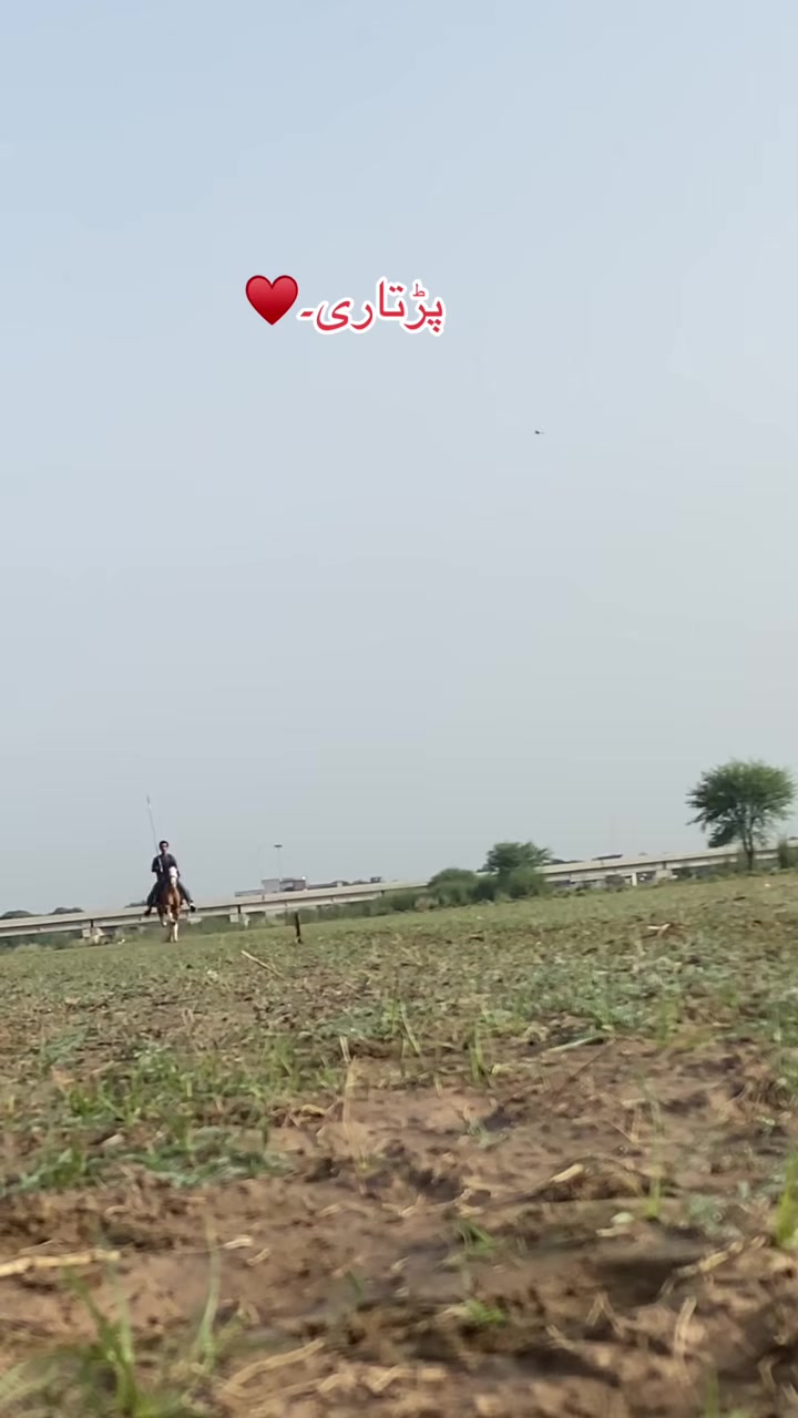 @🐴❤️🔥