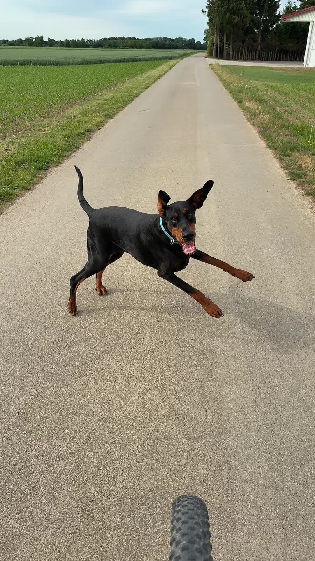 @Lanya Aliens 43J 🥰