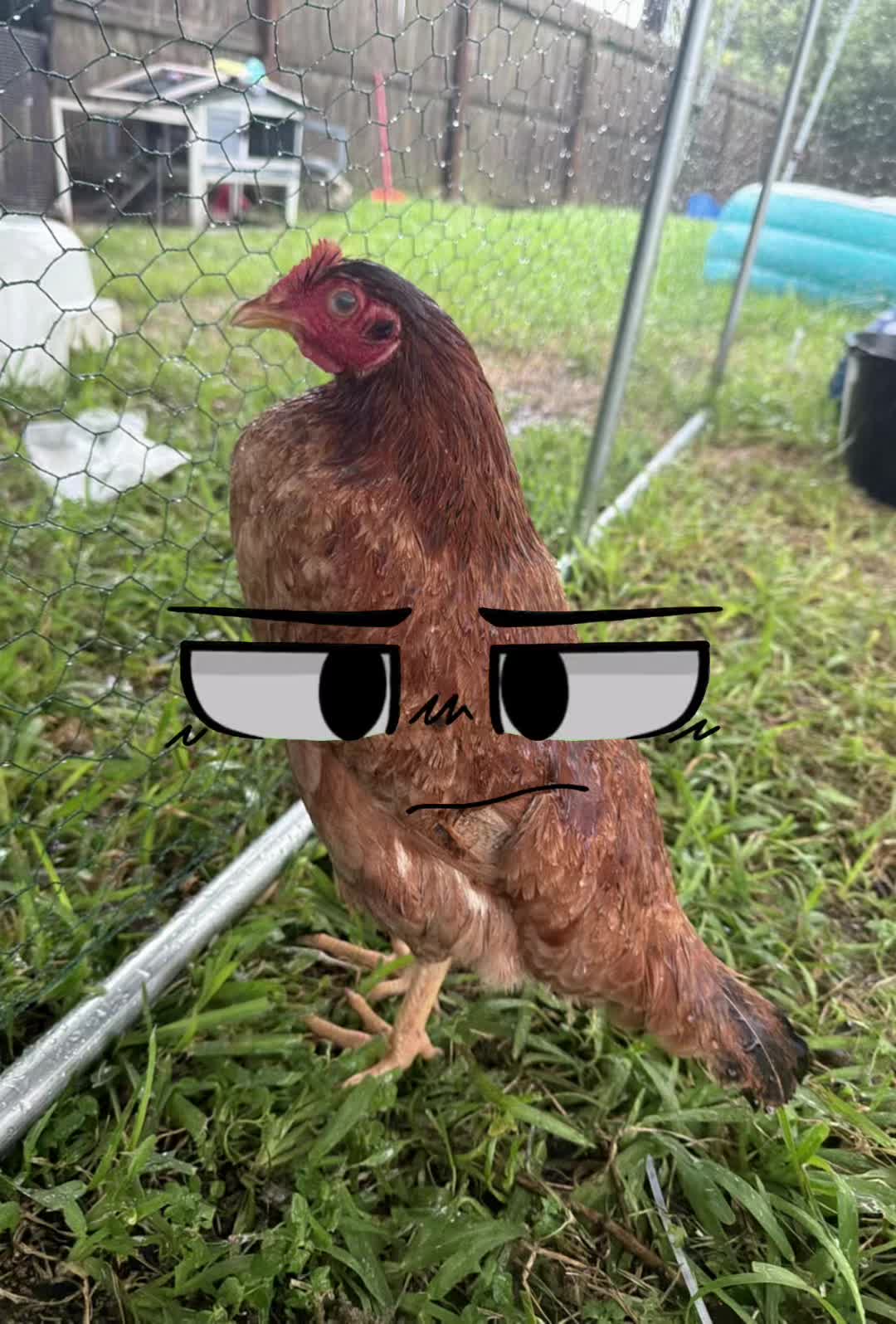 @Add chickens flyng ef5 tornado