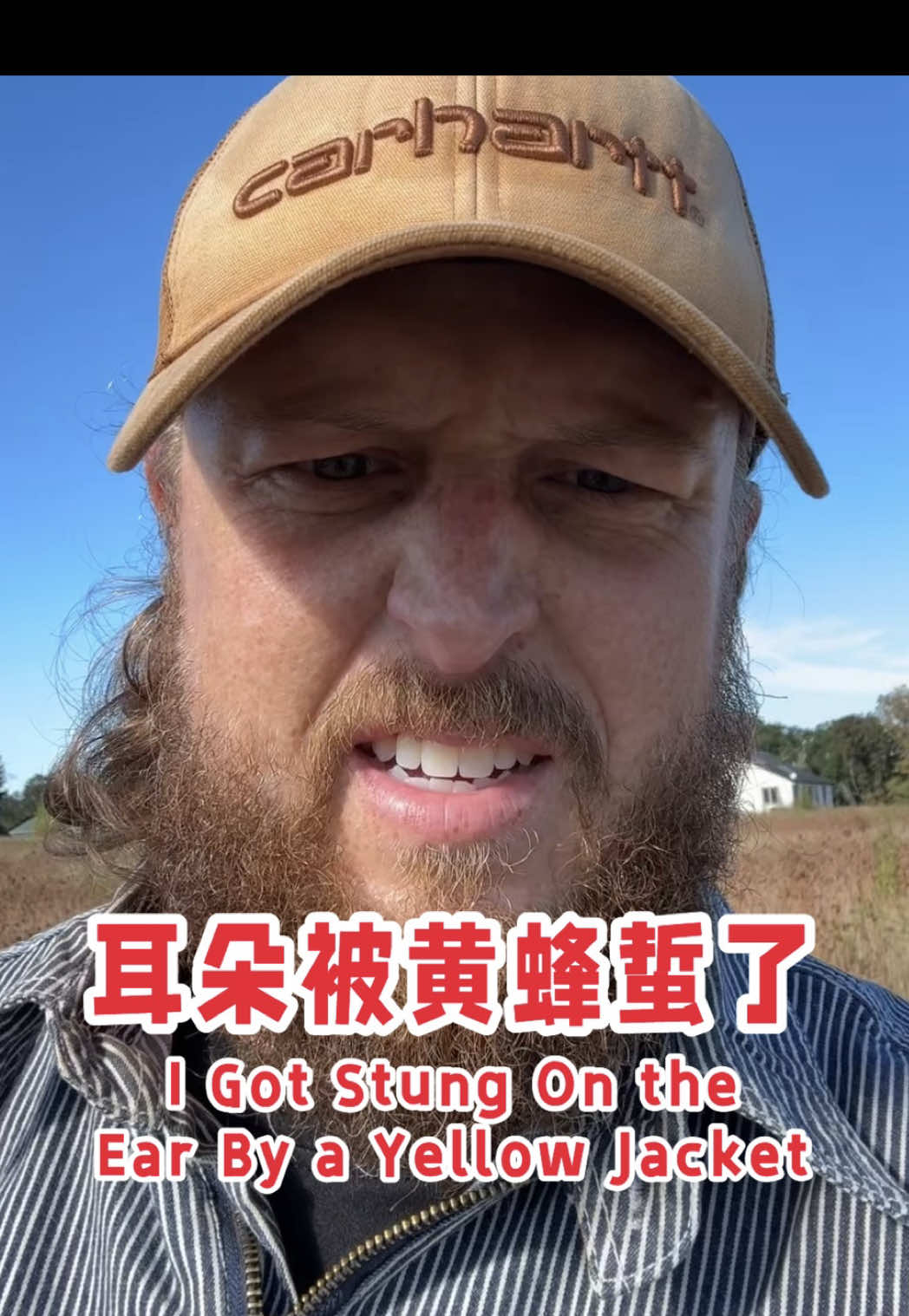 @大胡子牛仔 The Bearded Cowboy