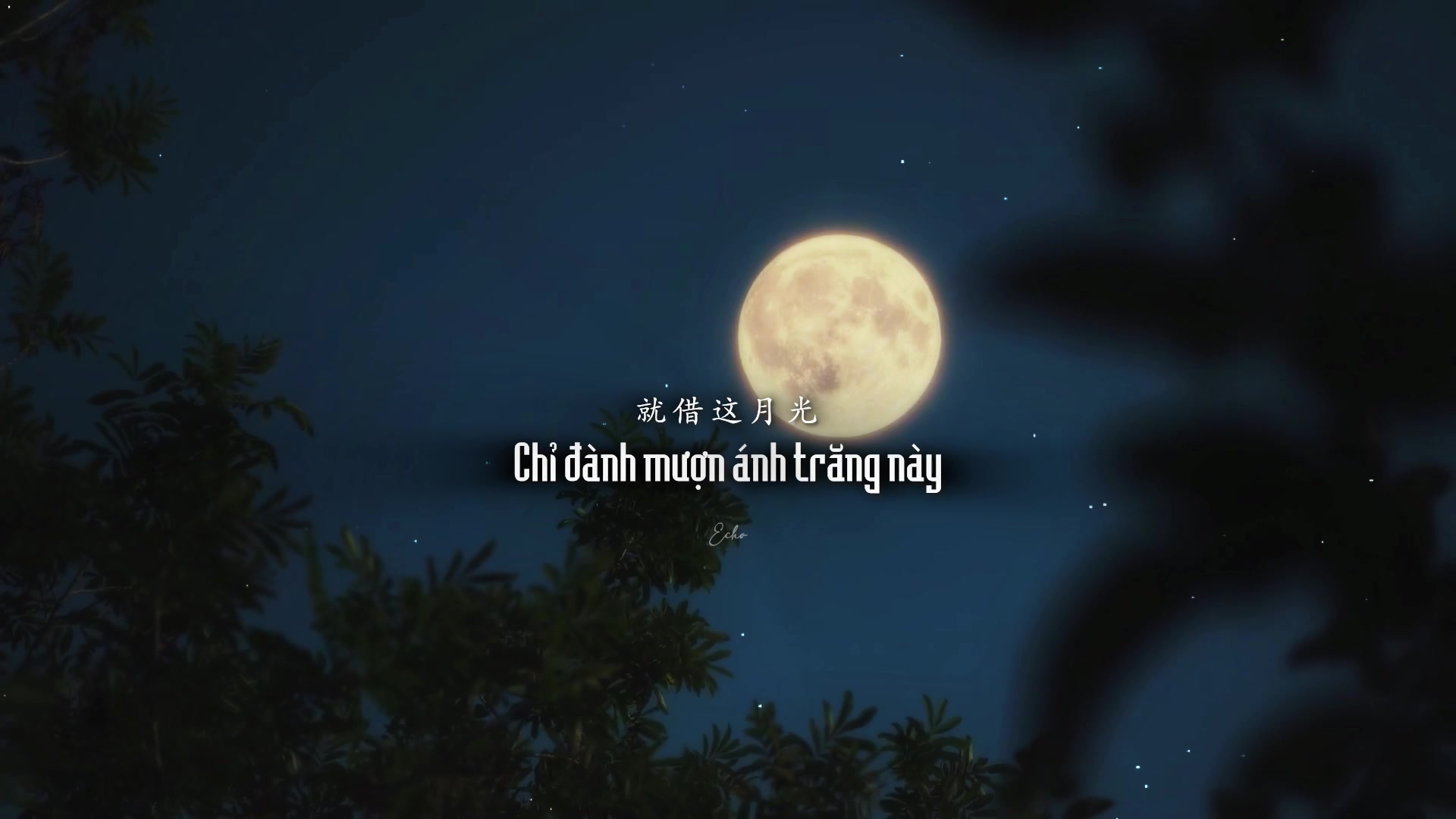 @𝙀𝙘𝙝𝙤