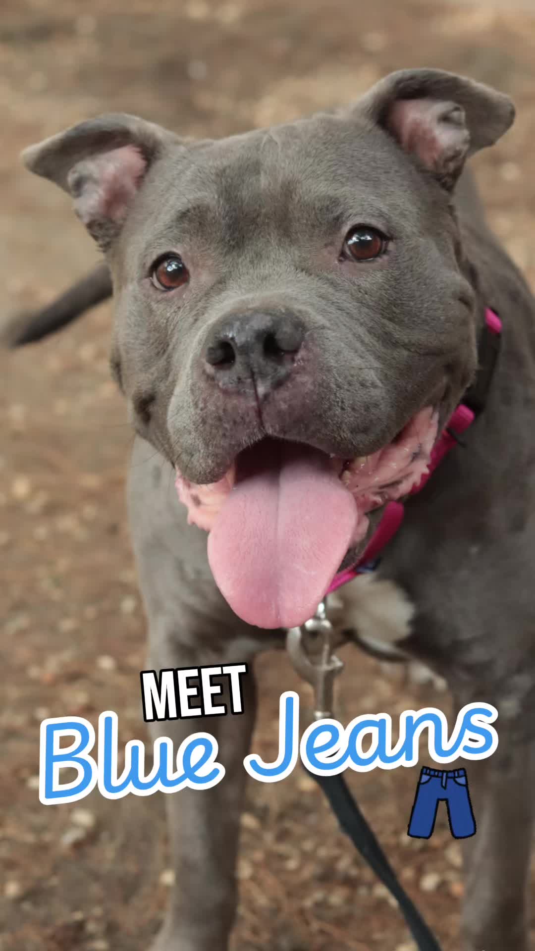 @PAWS
