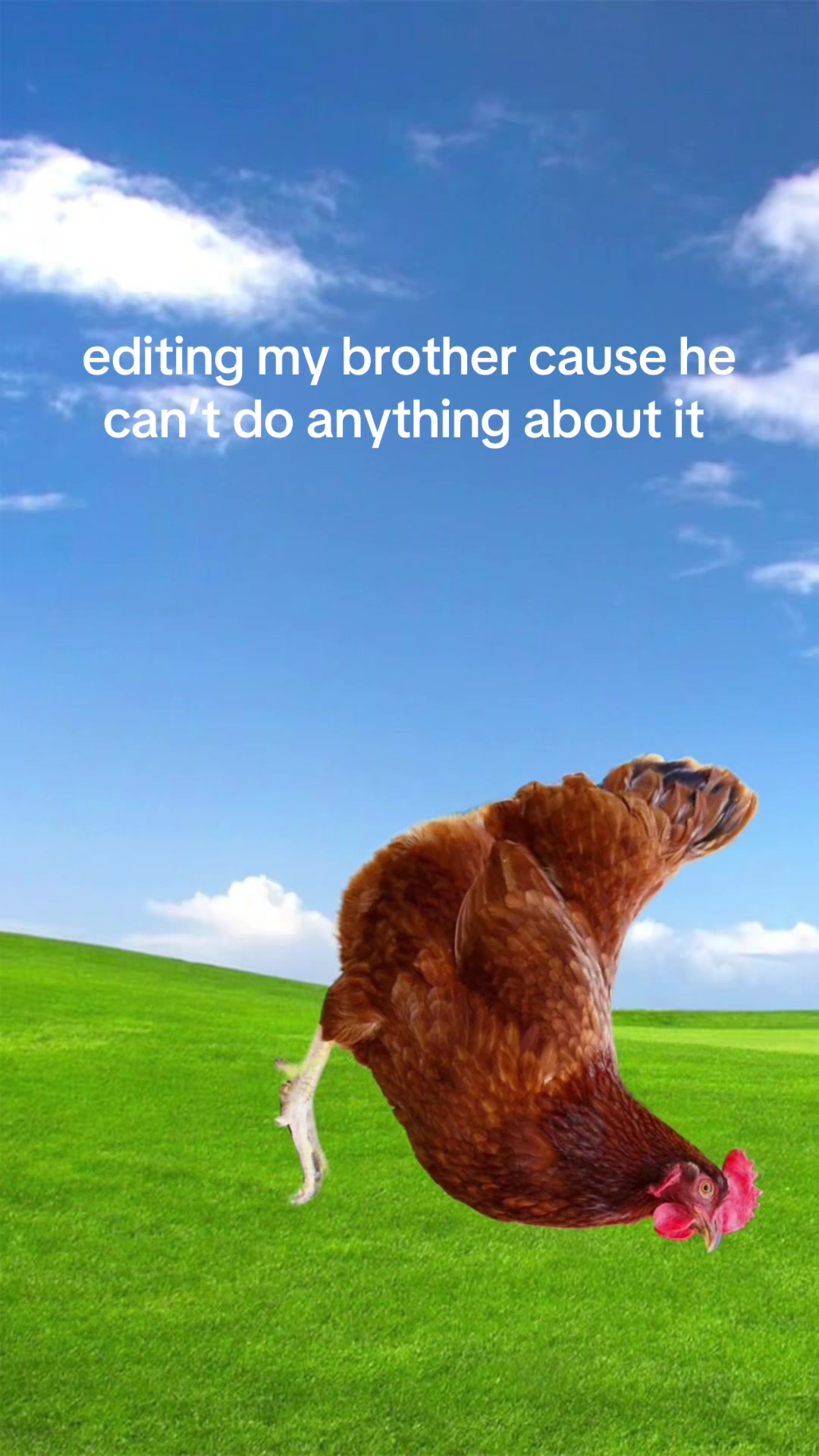 @𝓿𝓲𝓿