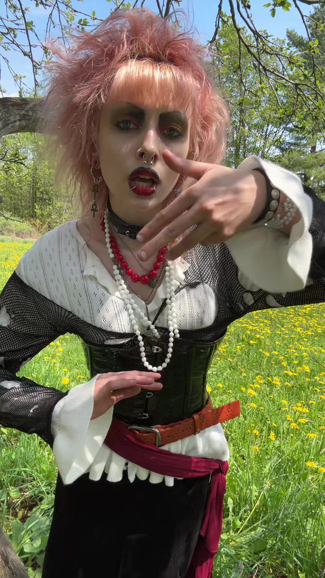 @Bizarrebarracuda