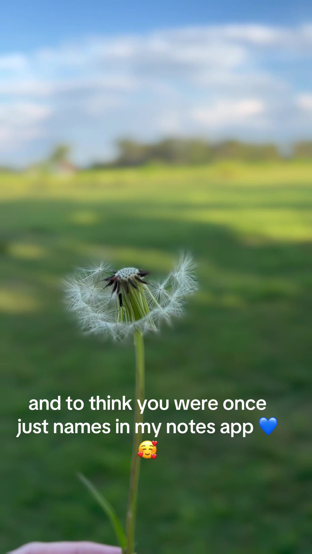 @Chrissy Townsend
