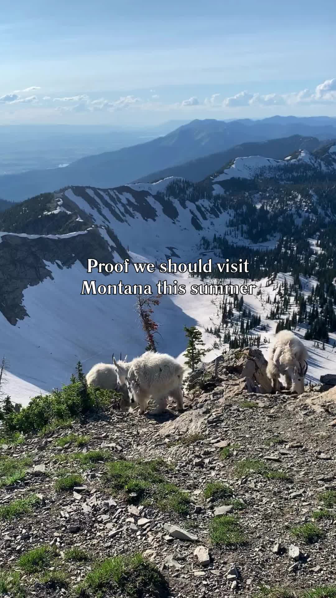 @MontanaMatt