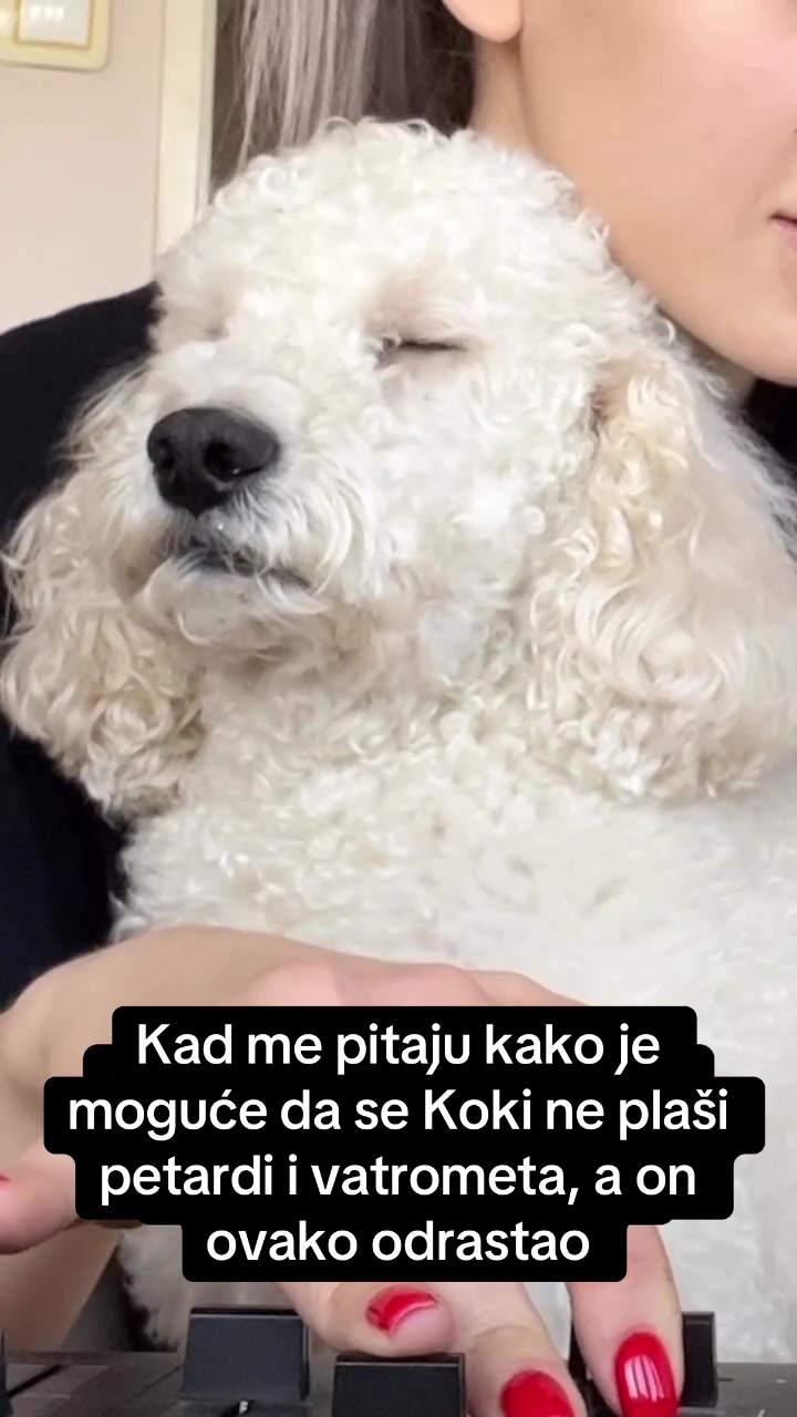 @itssaritazz