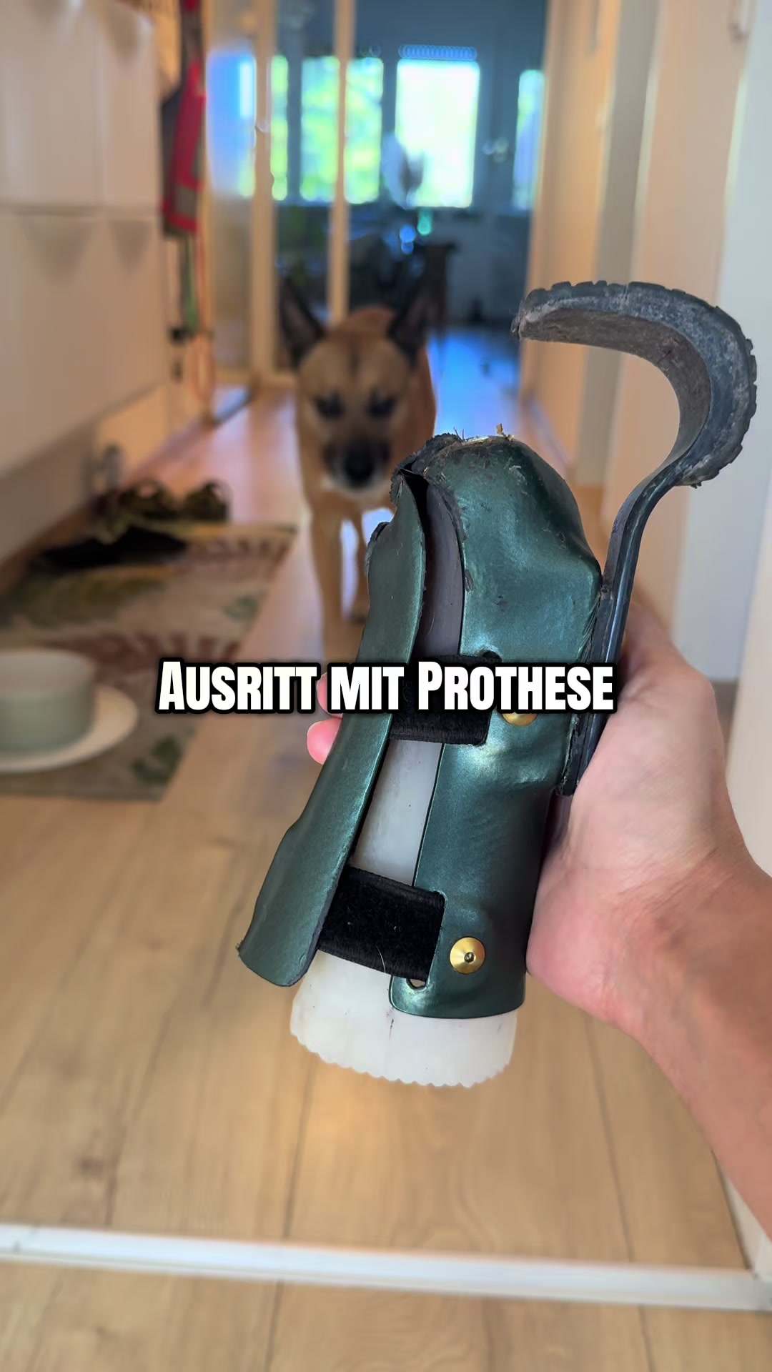 @mother of dogs