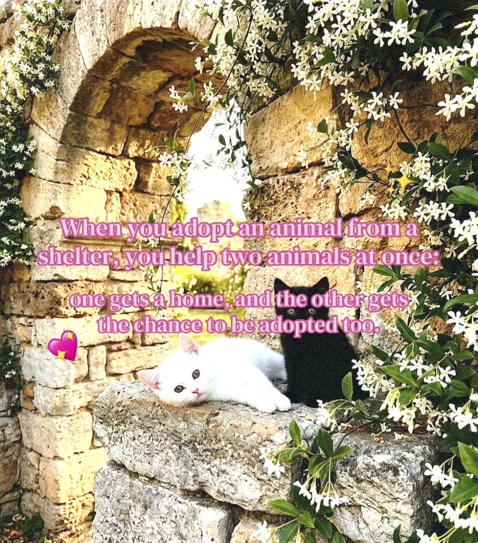 @₊˚⊹♡🧘🏼&zwj;♀️🌀🌞 ˚｡⋆౨ৎ