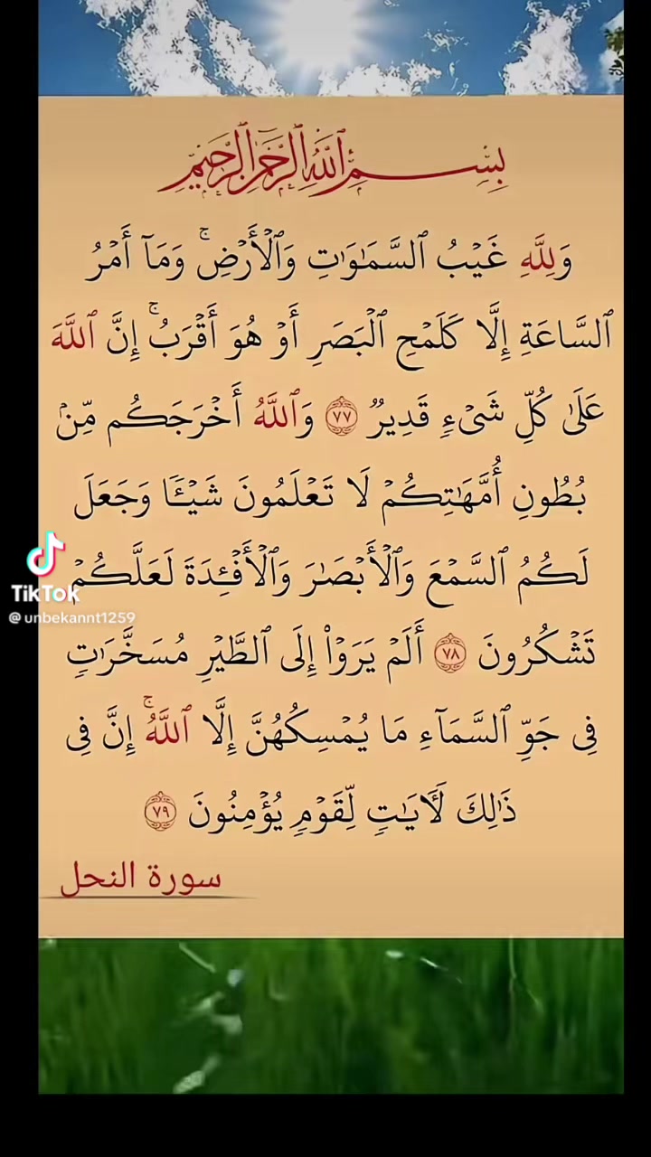 @الاسسسود ابوسند