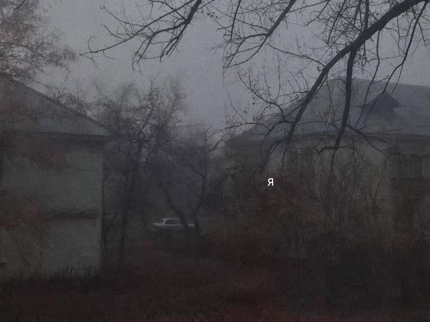 @звуки для липсингов