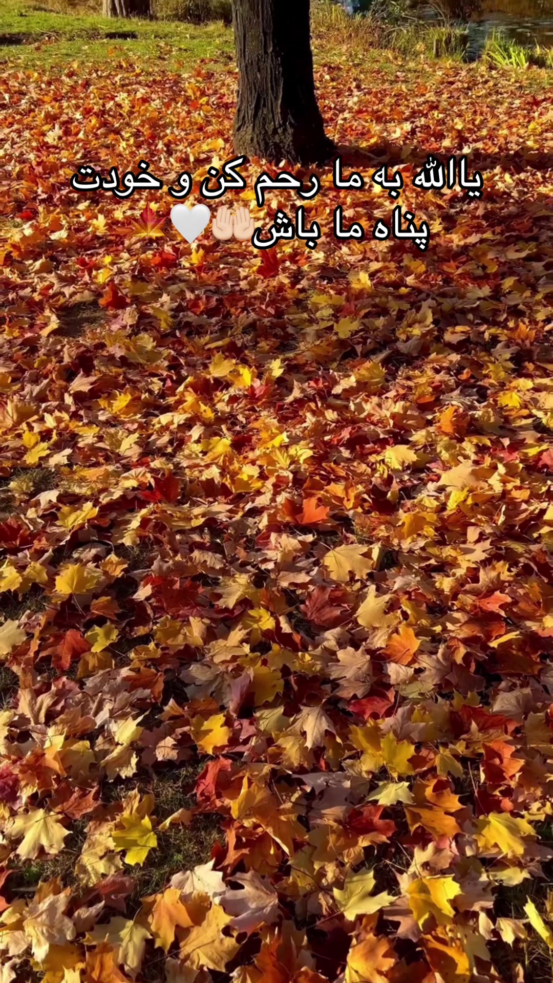 @𝓢𝓪𝓶𝓲𝓻𝓪❀