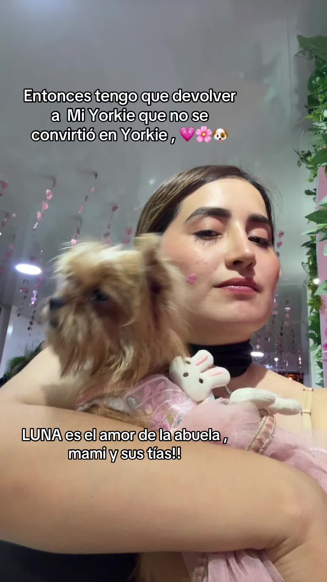@Vivian🦦💜