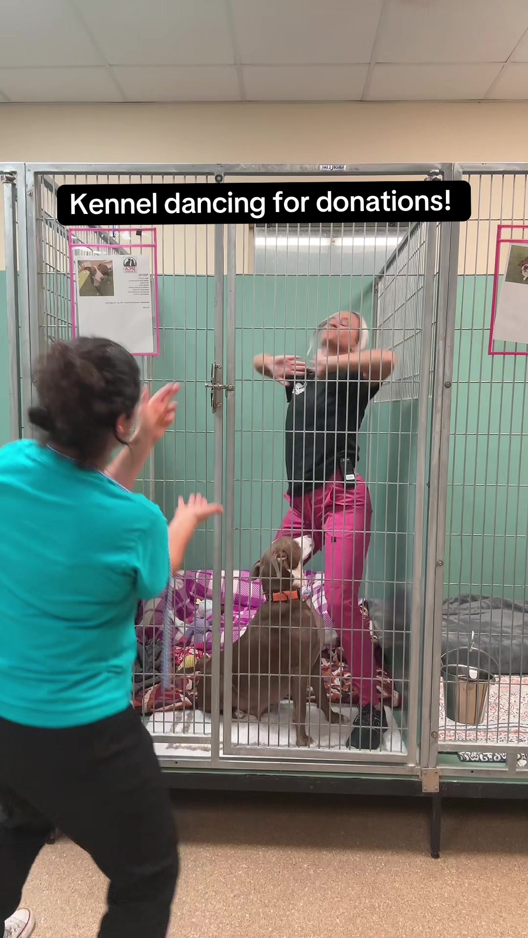 @2vettechs