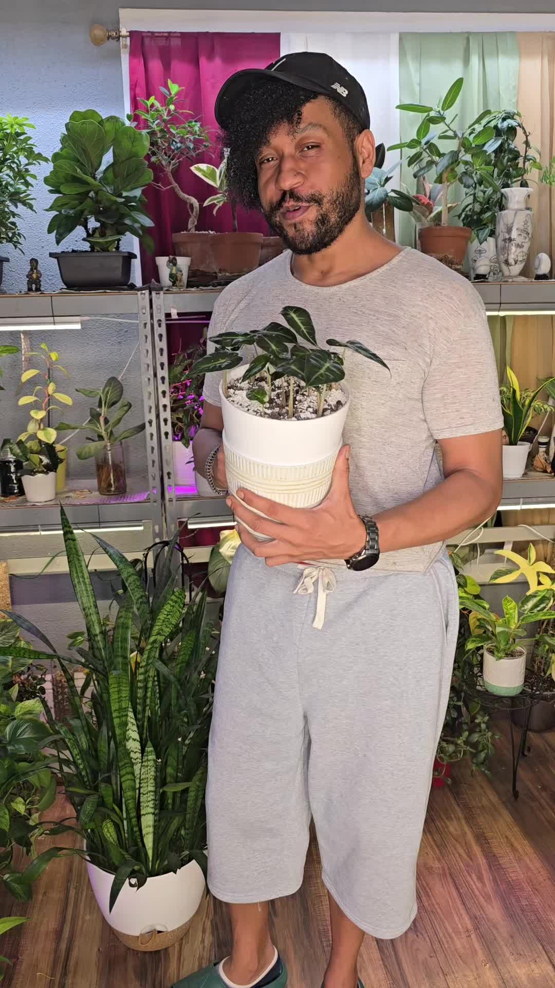 @JT - BigEGOPlants